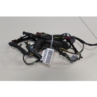 Жгут проводов передней правой двери Mini Countryman R60 2010-2016 61119807757