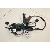 Жгут проводов задней правой двери Volkswagen Passat CC 2008-2017 3C8971694CP