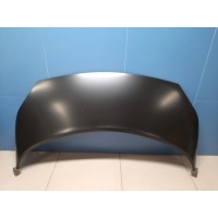 Капот Renault Scenic 2 2003-2009 651001097R