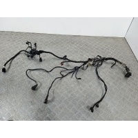 Проводка двигателя D27DT. SsangYong Rexton Y200 2005 6655402610