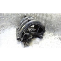 Впускной коллектор бензиновый SKODA FABIA (2007-2010) 2009