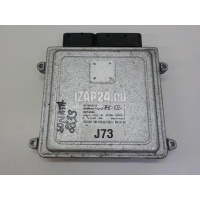 Блок управления двигателем Hyundai-Kia Sonata V (NF) (2005 - 2010) 3910025420