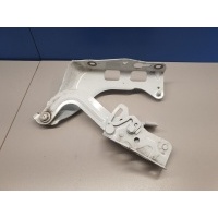 Петля капота правая Mercedes E-klasse W213 2016- A2138800228