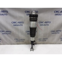 Пневмобаллон Audi Allroad C6, 4F 4F0616039R