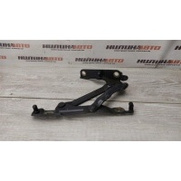 Петля крышки багажника MAZDA 3 BK BN8V52720C