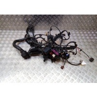 Проводка двигателя Audi A6 C7 4G 2011 4G0971871N