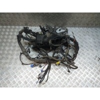 Проводка подкапотная Toyota Camry 70 ASV70 2018 8211606F60