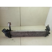 Радиатор интеркулера Renault Kangoo I (1998-2008) 2004 8200221885