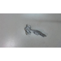 Петля капота левая KIA Carnival 2006-2008 2008 791104D000