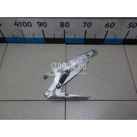 Петля капота левая VAG Golf V (2003 - 2009) 1K0823301C