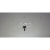 Болт крепления дверной петли VAG Allroad quattro (2012 - 2019) WHT003237