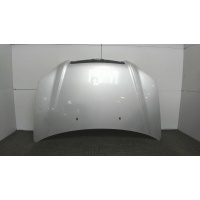 Капот, Hyundai Tucson 1 2004-2009 2006 664002E020