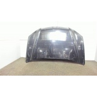 Капот, Hyundai Tucson 1 2004-2009 2005 664002E020