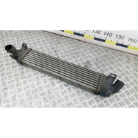 Радиатор интеркуллера FORD FOCUS (2004-2011) 2005 1353523