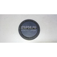 Крышка фары VAG New Beetle (2012 - ) 2E0941607