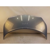 Капот Renault Scenic 2 2003-2009 651001097R