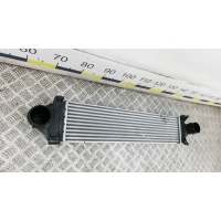 Радиатор интеркуллера LAND ROVER FREELANDER (2006-2011) 2007 LR009802