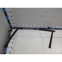 Уплотнитель стекла двери Ford Focus III (2011 - 2019) 1901516