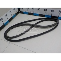 Уплотнитель стекла двери Ford Focus III (2011 - ) 1901517