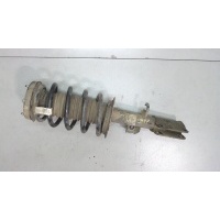 Амортизатор подвески, перед. левая BMW X5 E53 2000-2007 2003 31316764603