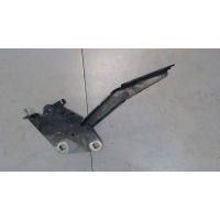 Петля капота, левая Renault Megane 3 2009- 2010 654010020R