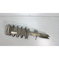 Амортизатор подвески, перед. правая BMW X5 E53 2000-2007 2003 31316764604