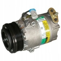 компрессор кондиционера delphi tsp0155452 бесплатно