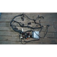 Проводка двигателя Audi A6 Allroad C5 2001 4Z7907401B