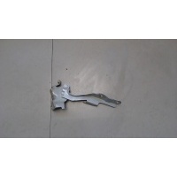 Петля капота, левая KIA Carnival 2006-2008 2007 791104D000