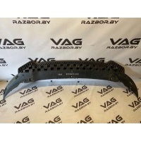 Защита бампера переднего Audi A3 8P (S3,RS3) 2010 8P0807233