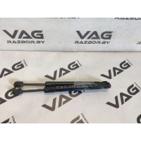 Амортизатор крышки багажника (3-5 двери) Audi A4 B7 2007 8E5827552C
