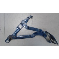 Петля крышки багажника, правая Volkswagen Passat 5 2000-2005 2003 3B5827302B