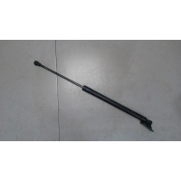 Амортизатор крышки багажника, левая=правая Renault Scenic 2009-2012 2010 904500004R