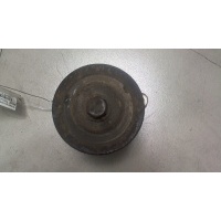 Натяжитель приводного ремня Renault Premium DCI 1996-2006 2005 5010477176/5010477345