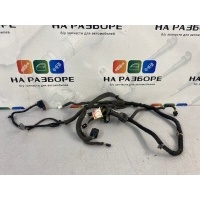 проводка двери Chevrolet Captiva C140 2012 95491029