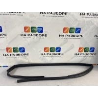 уплотнительная резинка стекла двери Chevrolet Captiva C140 2012 95061132