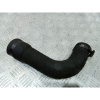 Патрубок интеркулера Renault Scenic 1 поколение [рестайлинг] (1999-2003) 2002 8200065740