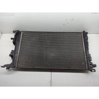 Радиатор основной Renault Scenic III (2009-2015) 2009 214100002R