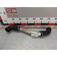 Патрубок интеркулера BMW 5 Series (E39) (-) 2001 ,11617786531
