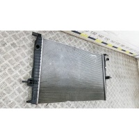 Радиатор системы охлаждения RENAULT MEGANE (2010-0000) 2010 214100067R
