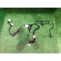 Проводка двери Renault Duster 2019 241241055R