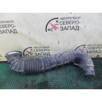 патрубок