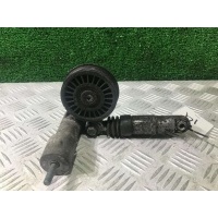 Натяжитель Volkswagen Passat B5 2002 038 145 283