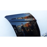 Капот HYUNDAI TUCSON (2005-2009) 2006 664002E020