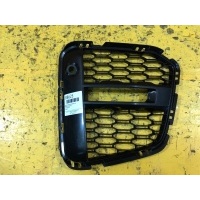 Решетка в бампер Перед. BMW X1 F48 2019- 51118075881