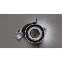 Натяжитель приводного ремня Renault Scenic 1996-2002 2001 8200603359