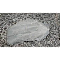 Защита арок (подкрылок), перед. правая Renault Scenic 2009-2012 2010 638446847R