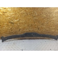 Решетка стеклоочистителя (Дождевик) BMW 5 E39 1999 5171 8 159 292