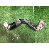 Патрубок воздушного фильтра Renault logan stepway 2020 165556691R