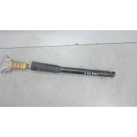 Амортизатор подвески, зад. левая=правая Mazda 3 (BK) 2003-2009 2005 BRY028910